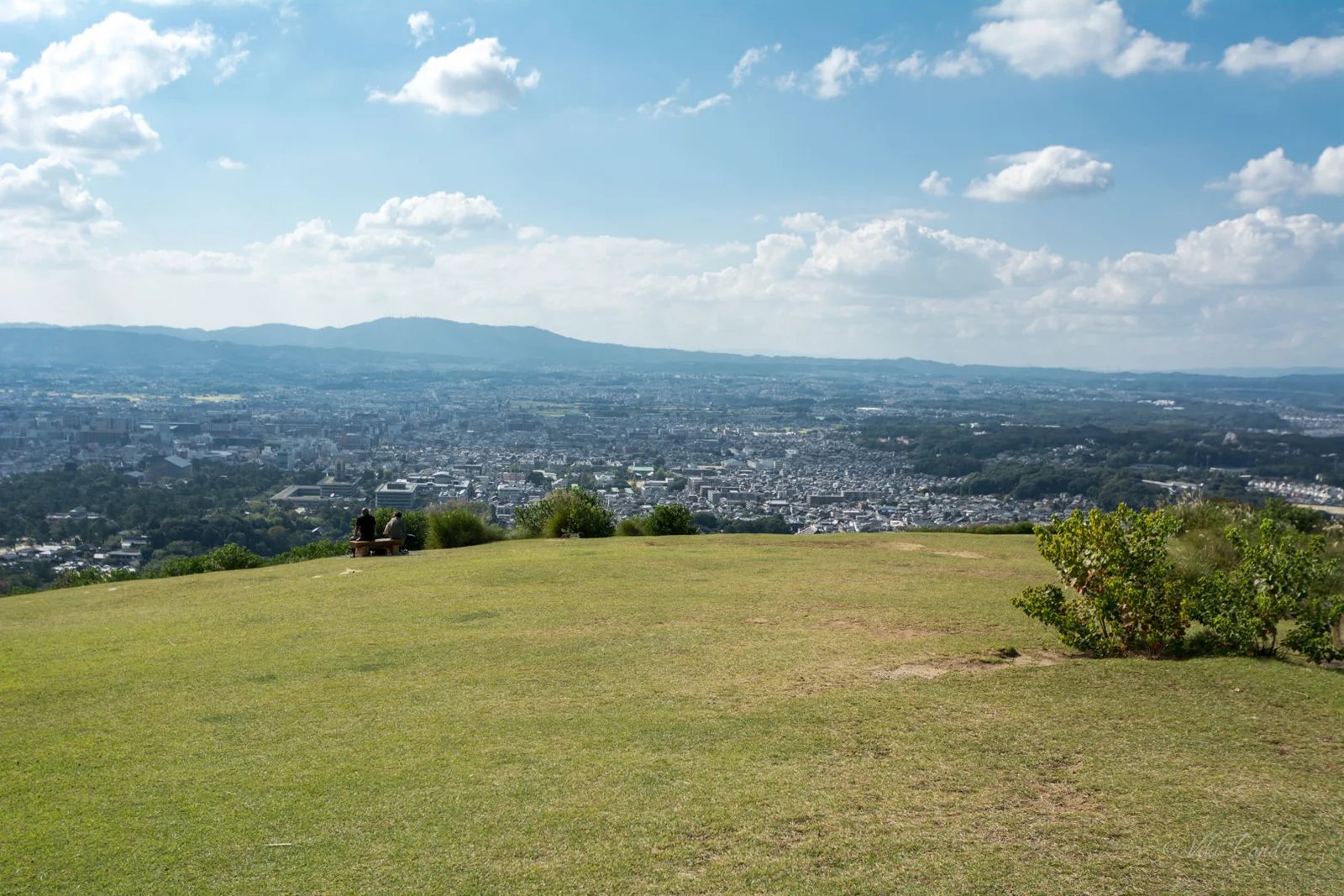 ⛰️ 와카쿠사 산 (若草山) 이미지 7